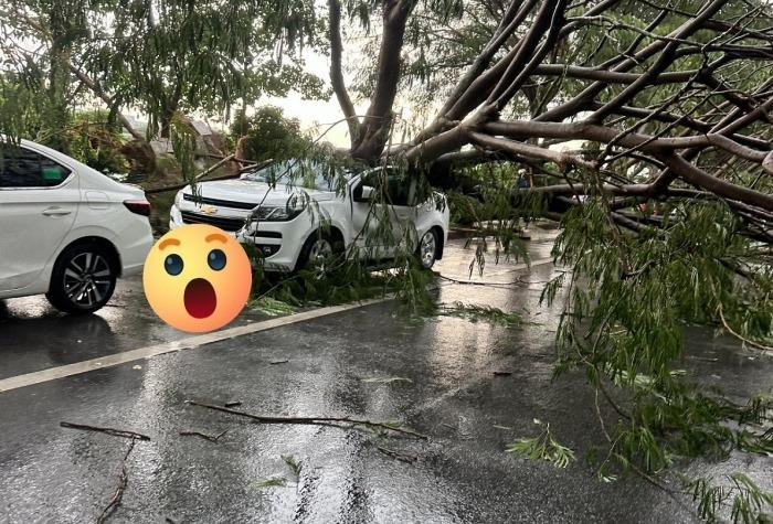 Ảnh hưởng từ siêu bão Yagi: Hà Nội nổi mưa giông lớn khiến hãng loạt ô tô, xe máy bị cây đổ đè bẹp 523951