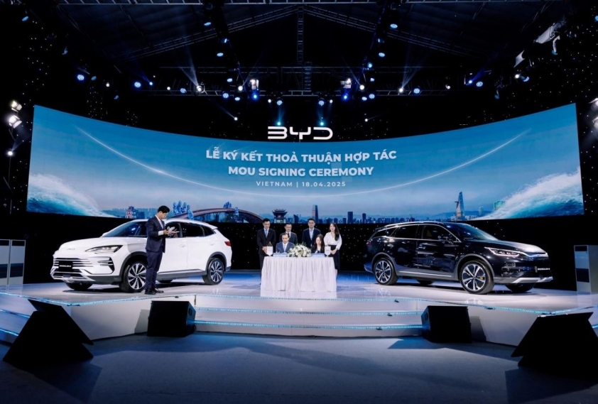 byd (2)