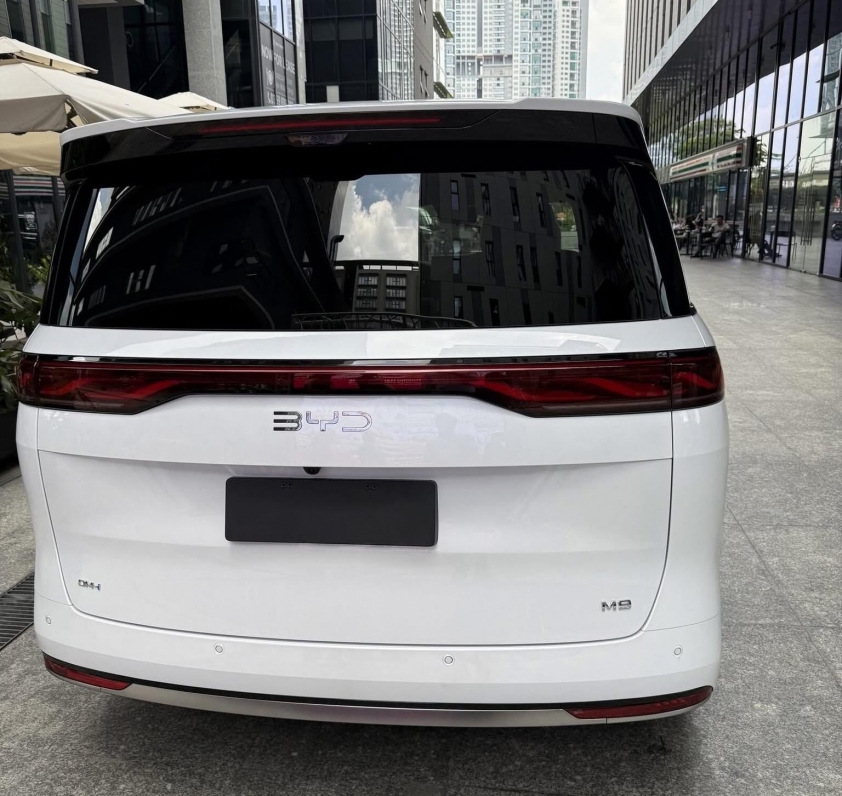 BYD M9 6
