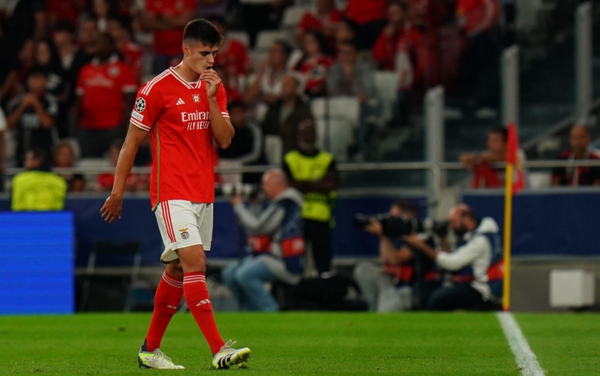 Benfica thua đội cũ của Haaland trên sân nhà ngay trận đầu C1 329949