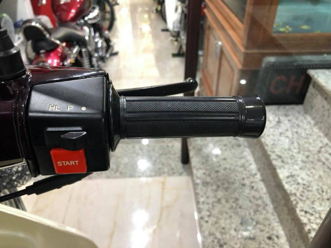 Ảnh 10