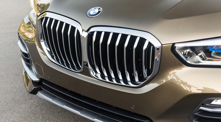 Lưới tản nhiệt BMW X5