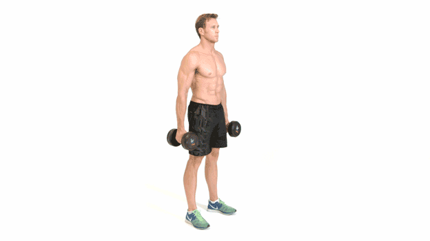 tư thế squat