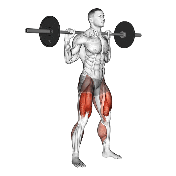 barbell squat