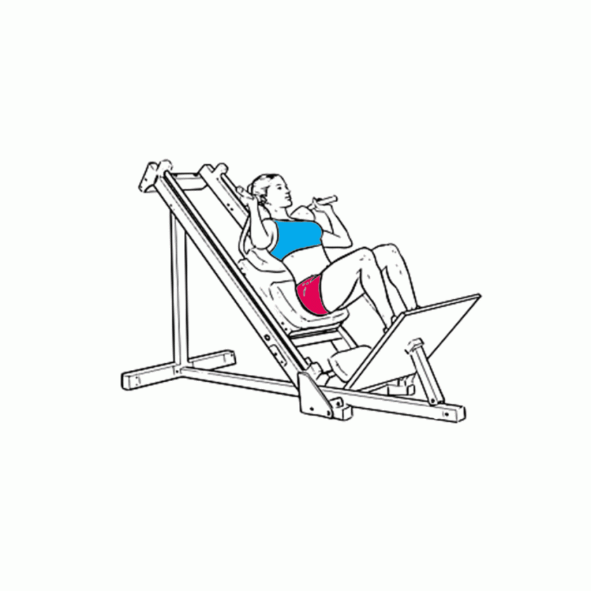 hack squat