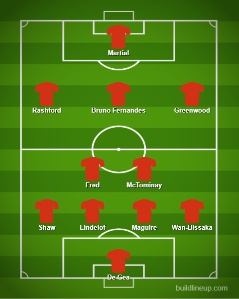 Đội hình mạnh nhất MU đấu Everton: Martial trở lại Ảnh 1