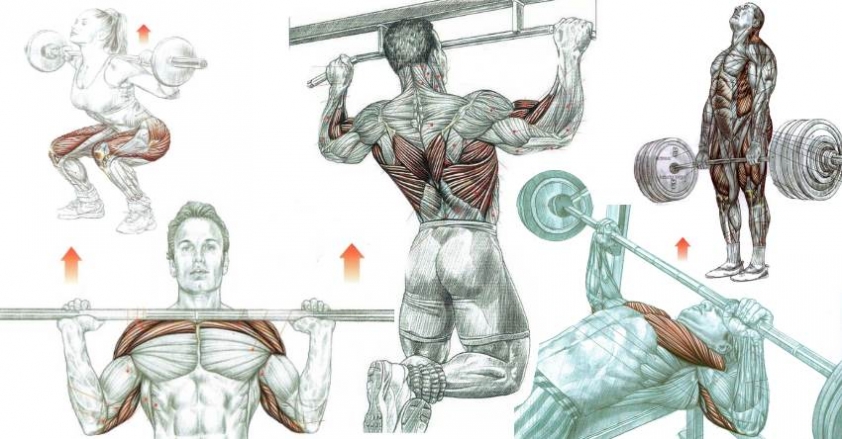 tập gym