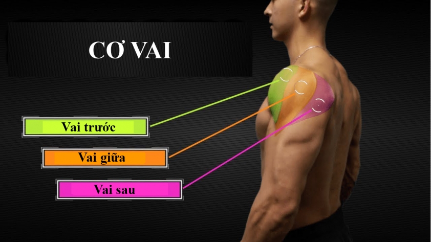 các bài tập vai