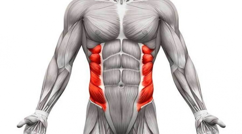 bài tập cơ liên sườn