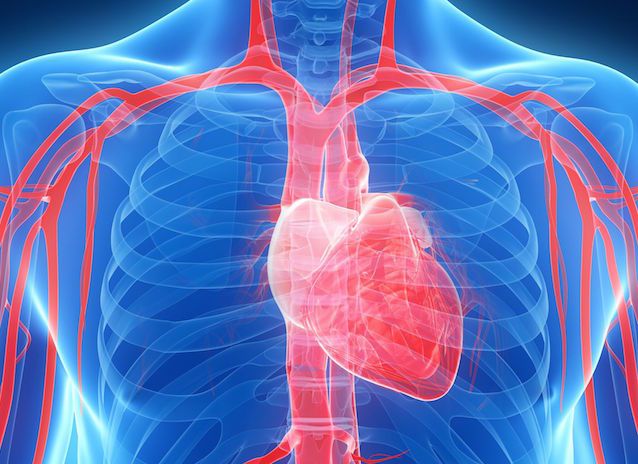 7 lợi ích khi bạn uống nước thay trà và cà phê trong 1 tháng