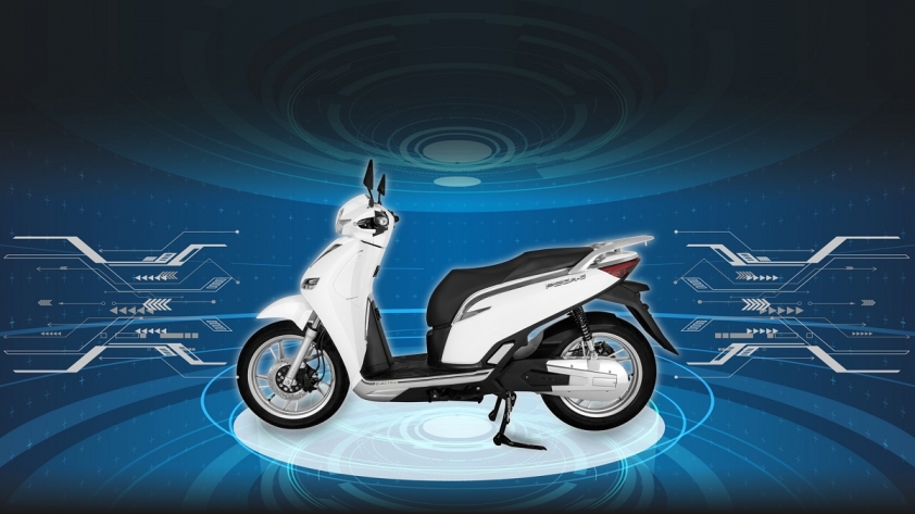 Pega-S 2020