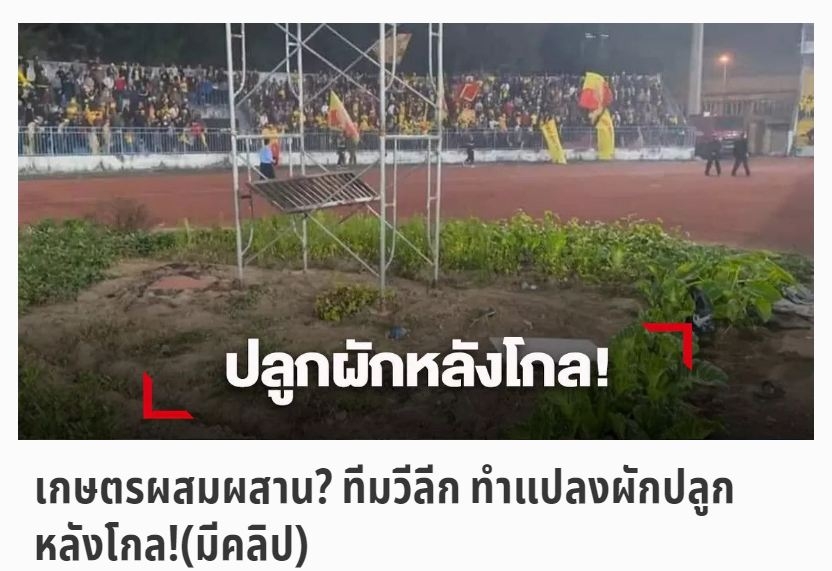Ảnh 1