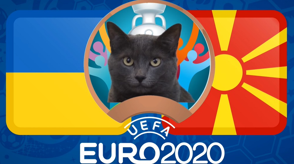 Mèo tiên tri dự đoán kết quả Ukraina vs Bắc Macedonia: Không có bất ngờ!