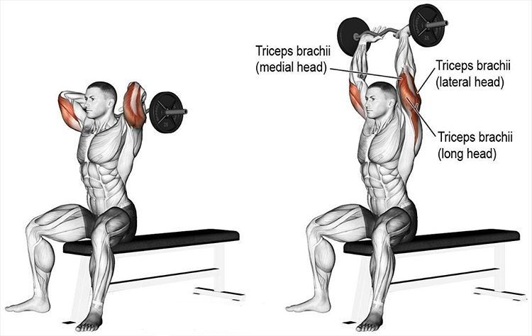 Bài tập Isolation là gì? Các bài tập Isolation tăng cơ nhanh nhất