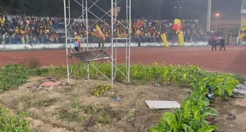 'SVĐ trồng rau' của Việt Nam nhận mưa lời khen trước SEA Games 31