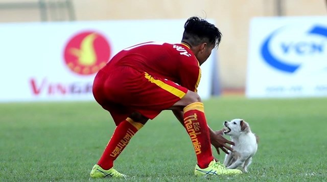 VIDEO: Cầu thủ PVF bị chó cắn ở giải U19 QG