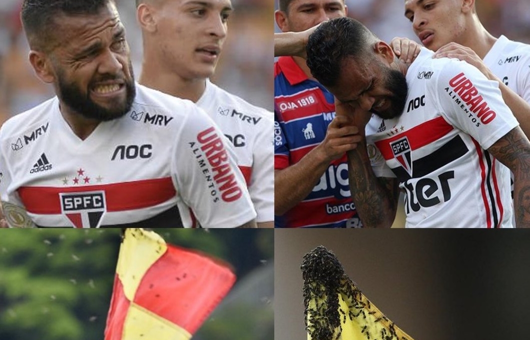 VIDEO: Dani Alves bị đàn ong đốt khi đá phạt góc