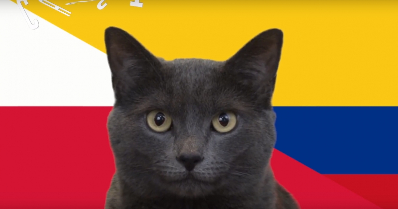 Mèo tiên tri dự đoán kết quả, tỉ số Ba Lan vs Colombia