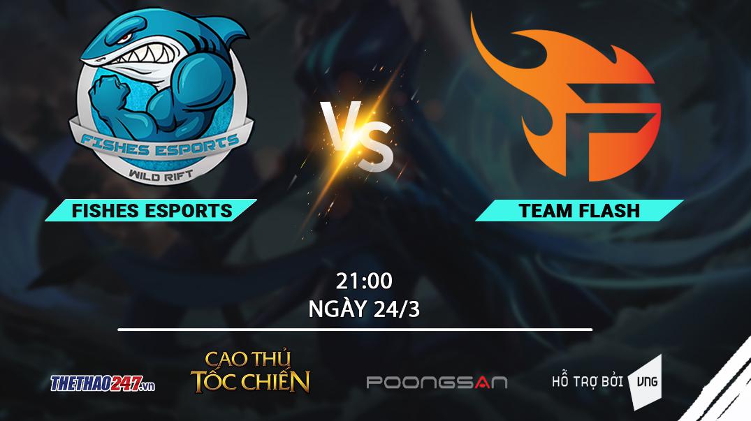 Fish Esports vs Team Flash: Tứ kết là 'cá mập', bán kết thành 'cá con'?