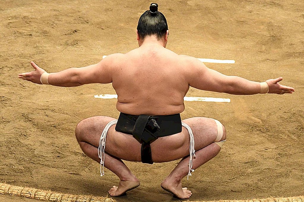 Bất ngờ với lý do Sumo 'bị cấm lái xe'