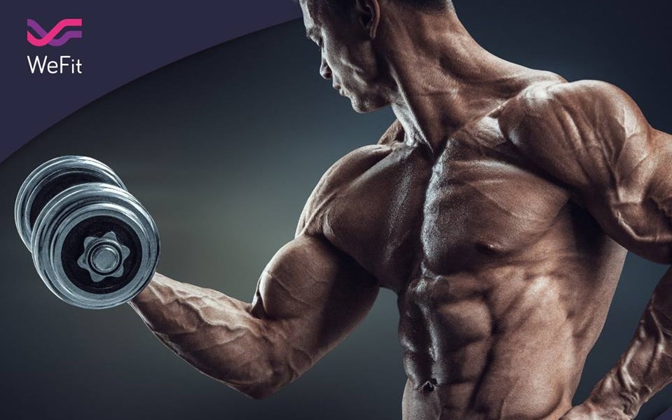 WeFit _ Uber trong lĩnh vực Fitness tại Việt Nam