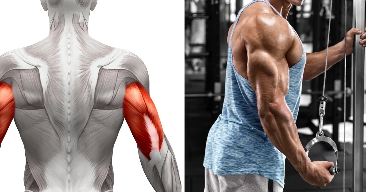 4 cách tập tay sau hiệu quả dễ dàng tại nhà