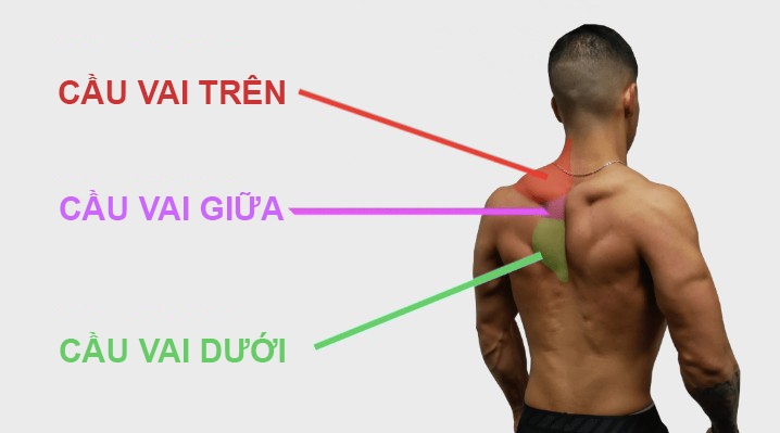 5 cách tập cơ cầu vai như những huyền thoại thể hình