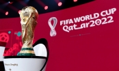 CHÍNH THỨC: VTV sở hữu bản quyền World Cup 2022