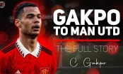 Gakpo nói thẳng khả năng đến MU trước trận tứ kết World Cup 2022