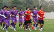 Vì sao HLV Park gạch tên sao HAGL khỏi ĐT Việt Nam?