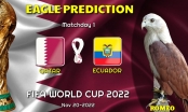 Đại bàng Romeo dự đoán tỷ số Qatar vs Ecuador: Quá hợp lý
