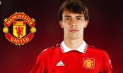 Chuyển nhượng MU 7/11: Joao Felix đồng ý gia nhập Quỷ đỏ, Vlahovic vào tầm ngắm