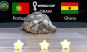 Thần Rùa báo thẳng kết quả trận Bồ Đào Nha vs Ghana: Tỉ số sít sao