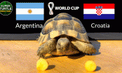 Thần Rùa dự đoán kết quả, tỉ số Argentina vs Croatia, 02h00 ngày 14/12