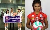 Nóng: Hóa chất Đức Giang chiêu mộ sao bóng chuyền tham dự Olympic với mục tiêu VĐQG