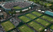 7 thông tin đáng chú ý khiến Wimbledon năm nay trở nên có '1-0-2'