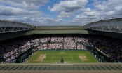 Lịch thi đấu tứ kết Wimbledon 2022 hôm nay, ngày 6/7: Djokovic gọi, Nadal có trả lời?