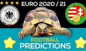 Thần Rùa tiên tri dự đoán kết quả Đức vs Hungary: Lộ diện kẻ bị loại