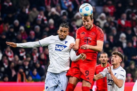 Trực tiếp Hoffenheim vs Bayern Munich, 20h30 hôm nay 20/9