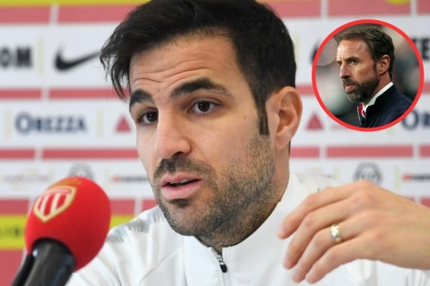 Fabregas muốn đem một sao tuyển Anh vào đội hình Tây Ban Nha Euro 2024
