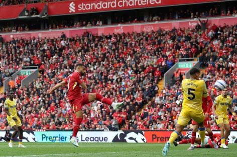 Trực tiếp Crystal Palace 2-2 Liverpool: Quá hấp dẫn