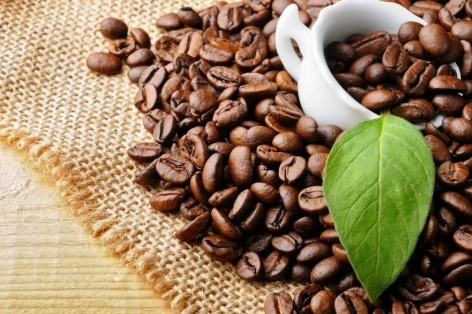 Giá cà phê hôm nay 22/5: Khó giữ mốc 125.000 đồng/kg