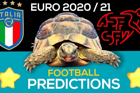 Thần Rùa tiên tri dự đoán kết quả Italia vs Thụy Sĩ: Chiến thắng cho kẻ mạnh?