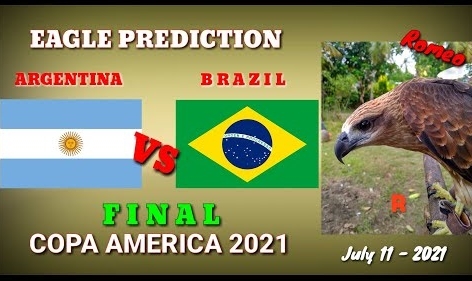 Thần điêu dự đoán Brazil vs Argentina: Thắp sáng hy vọng