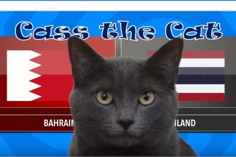 Mèo tiên tri dự đoán kết quả Thái Lan vs Bahrain