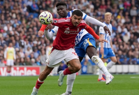 Nhận định Brighton vs Nottingham Forest: Mưa phạt góc, 0h15 ngày 30/3/2025