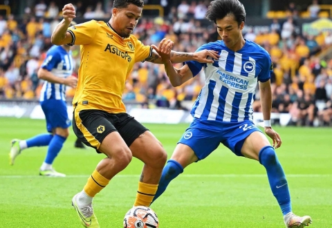 Nhận định Wolves vs Brighton: Kịch bản khó lường