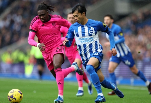 Nhận định Brighton vs Fulham: Lợi thế sân bãi