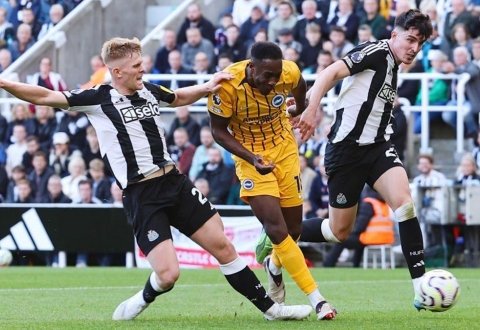 Nhận định Brighton vs Newcastle: Trận cầu khó lường