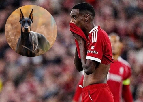 Bị đe dọa, ngôi sao đắt giá nhất Ngoại hạng Anh chi tiền tấn mua chó giữ nhà